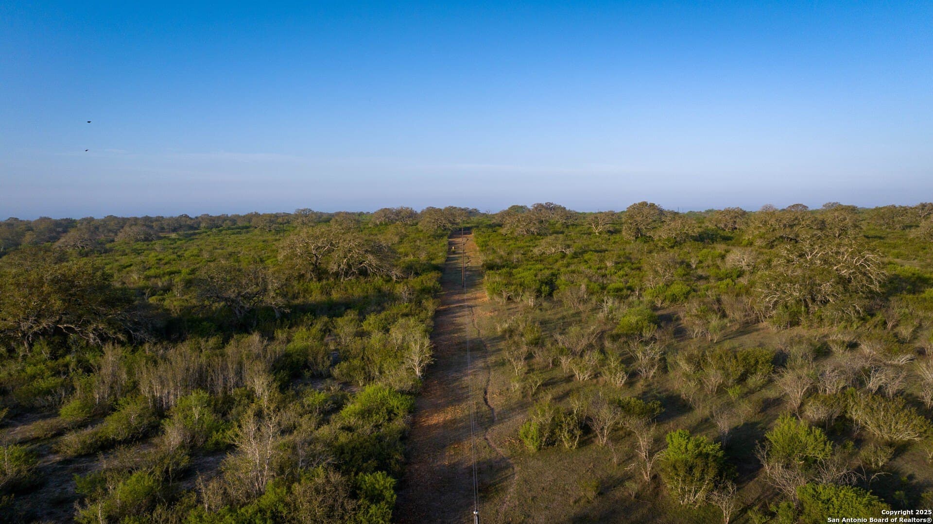 0 acres in Goliad County - photo 42