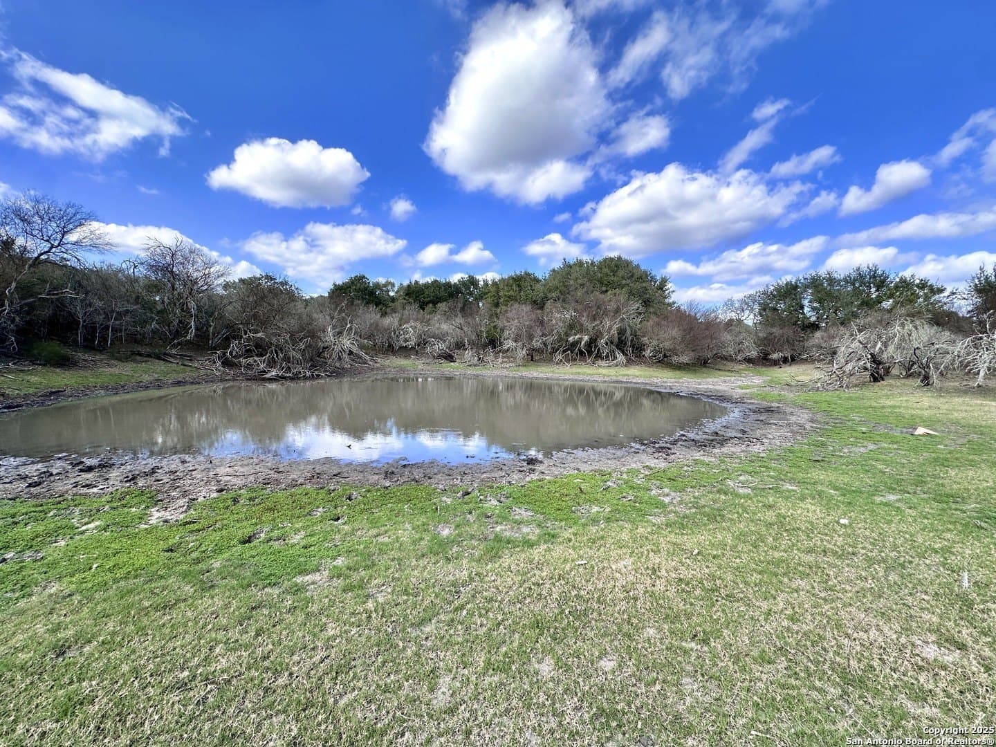0 acres in Goliad County - photo 37