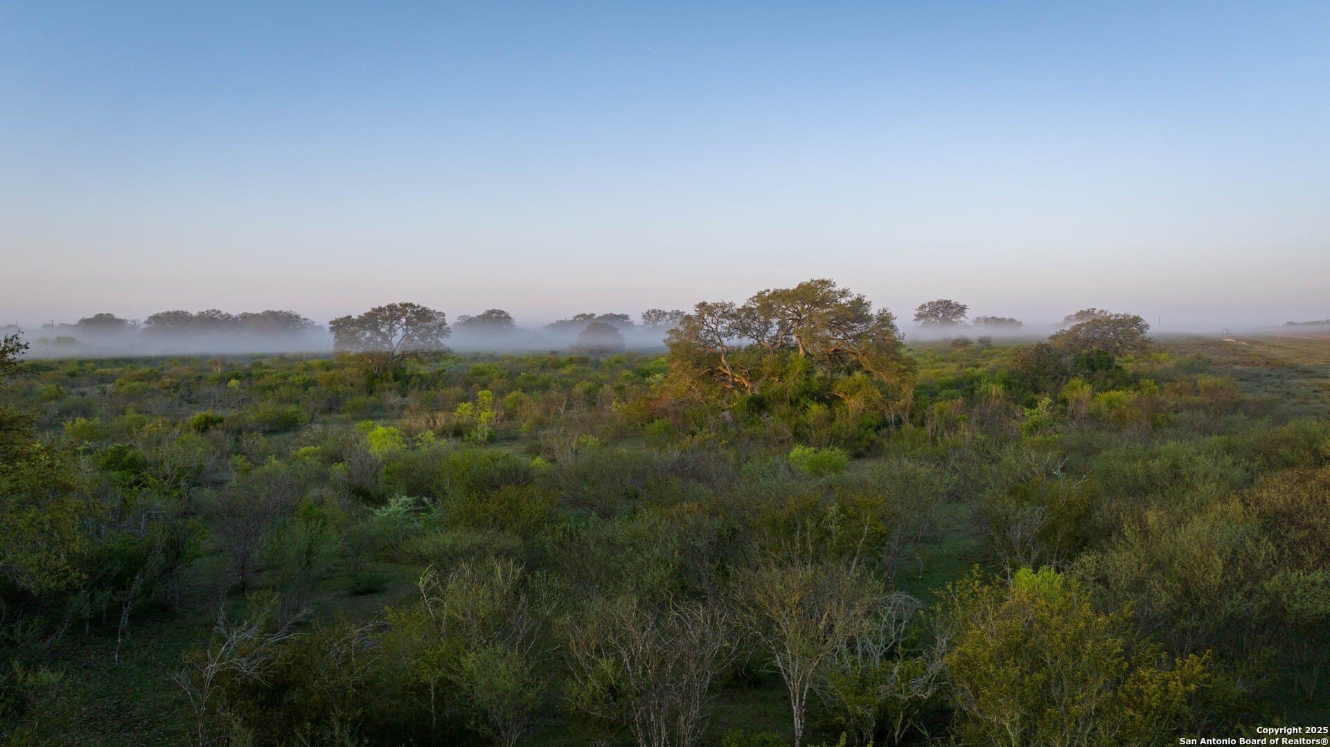 0 acres in Goliad County - photo 4