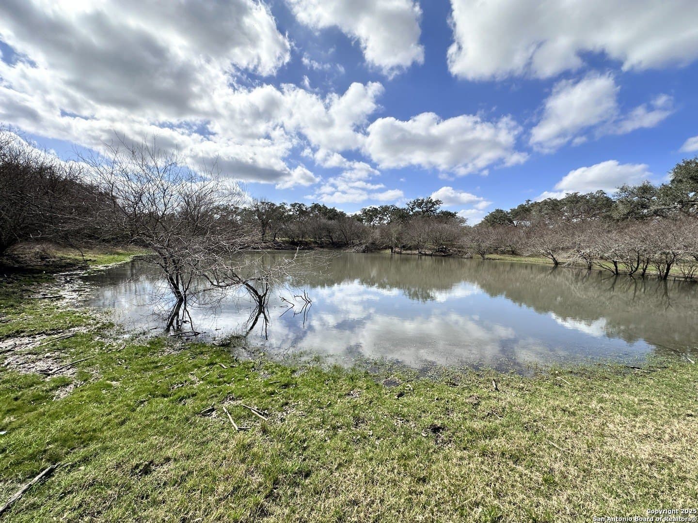 0 acres in Goliad County - photo 33
