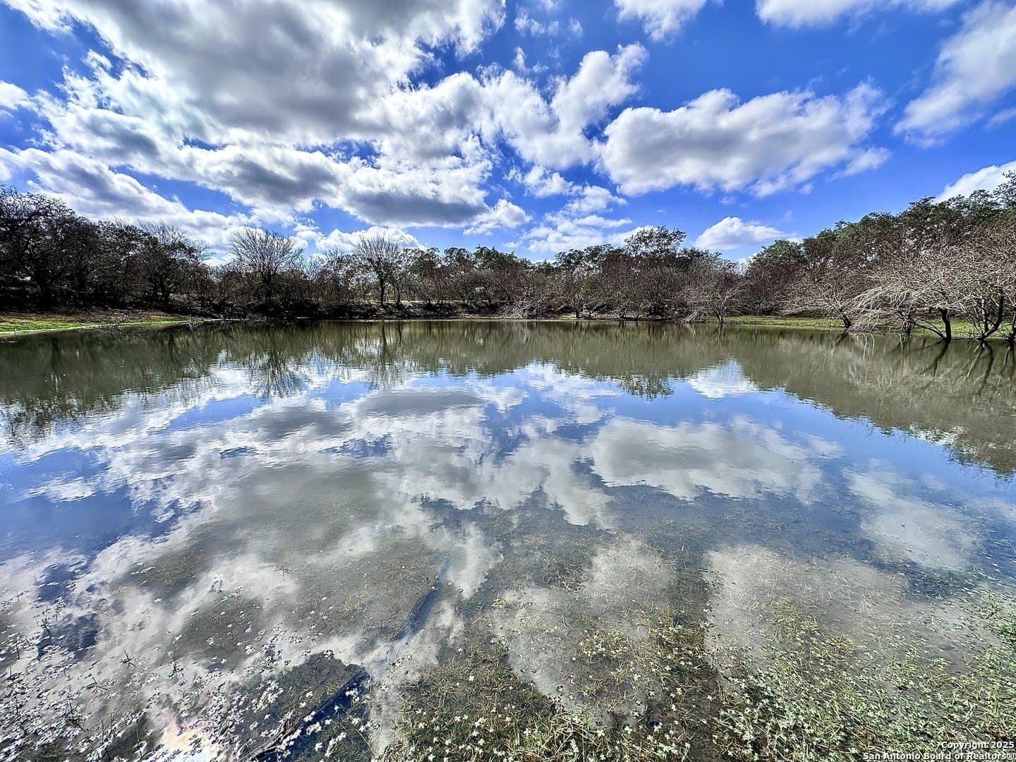 0 acres in Goliad County - photo 34
