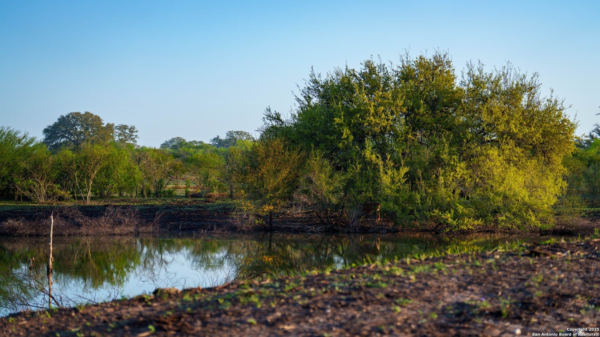 0 acres in Goliad County - photo 20