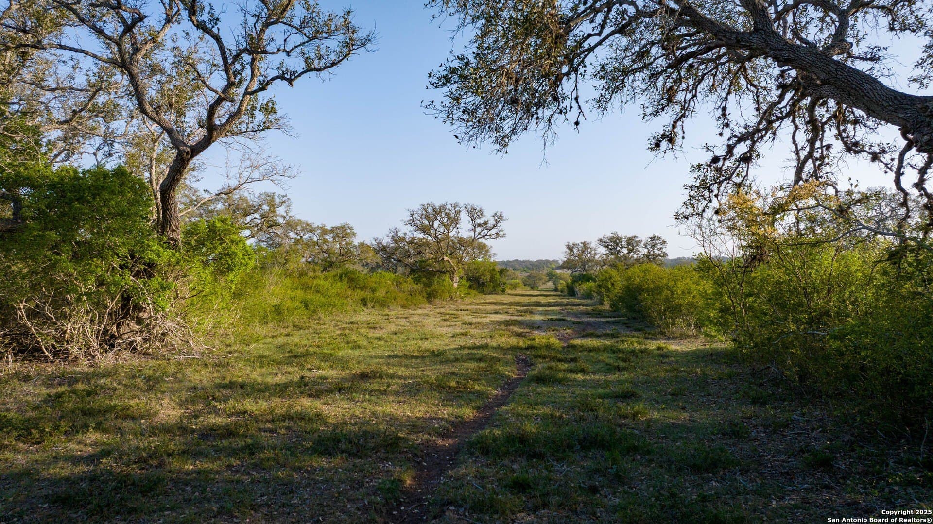 0 acres in Goliad County - photo 50