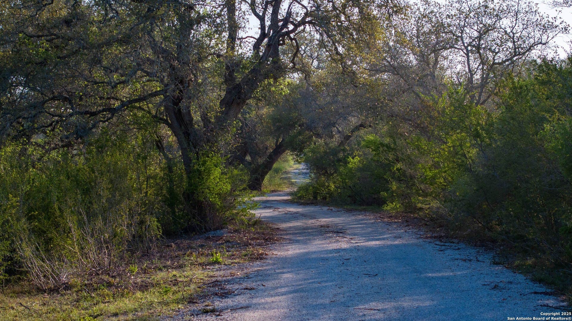 0 acres in Goliad County - photo 65