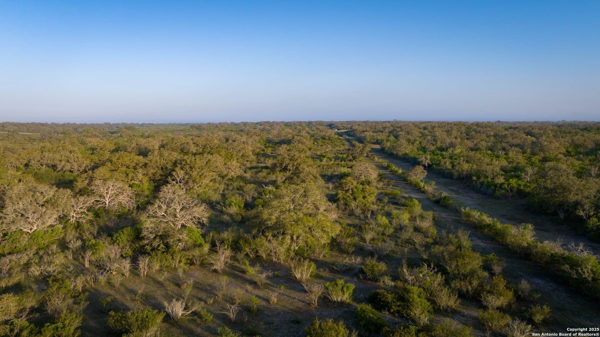 0 acres in Goliad County - photo 39