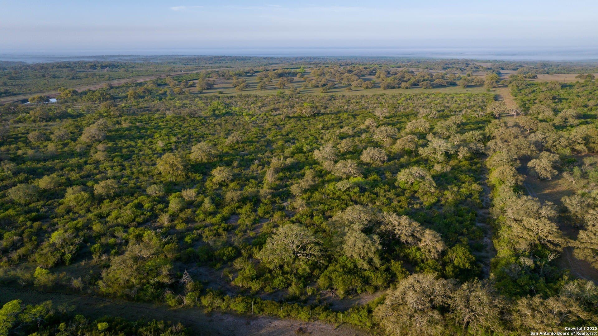 0 acres in Goliad County - photo 24