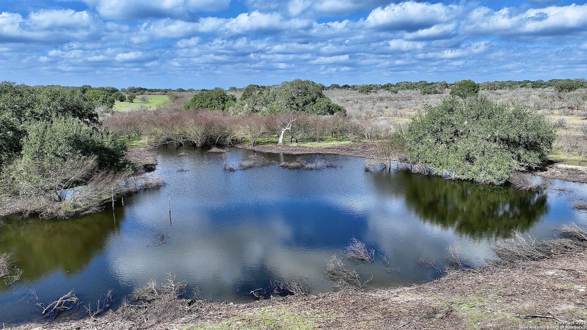 0 acres in Goliad County - photo 29