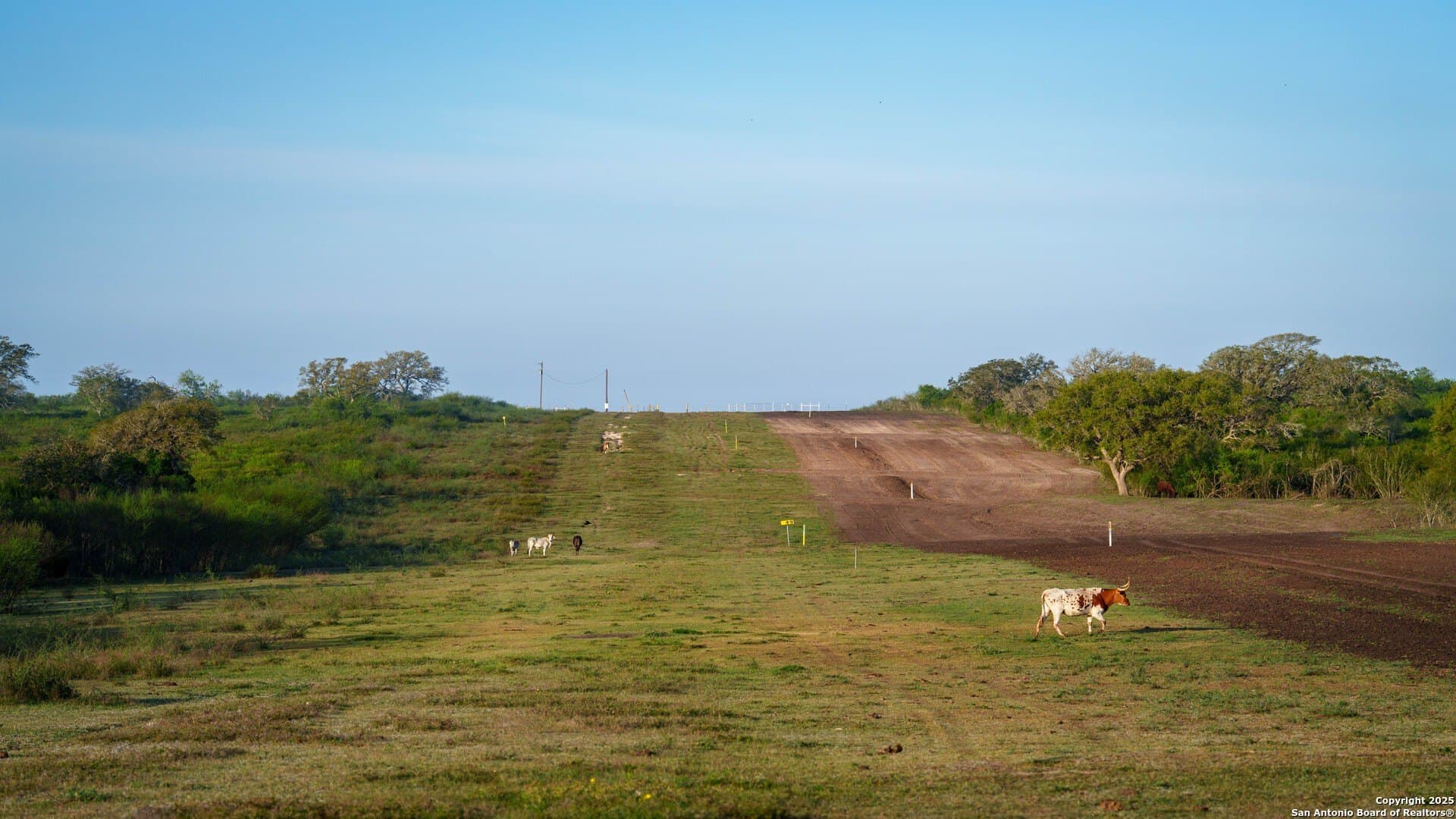 0 acres in Goliad County - photo 44