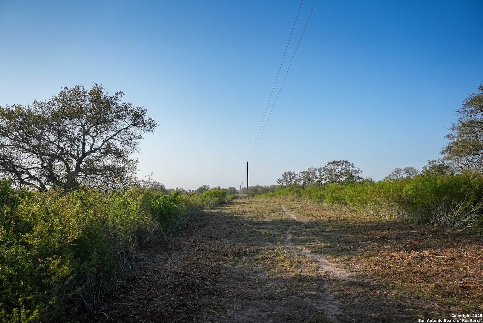 0 acres in Goliad County - photo 3