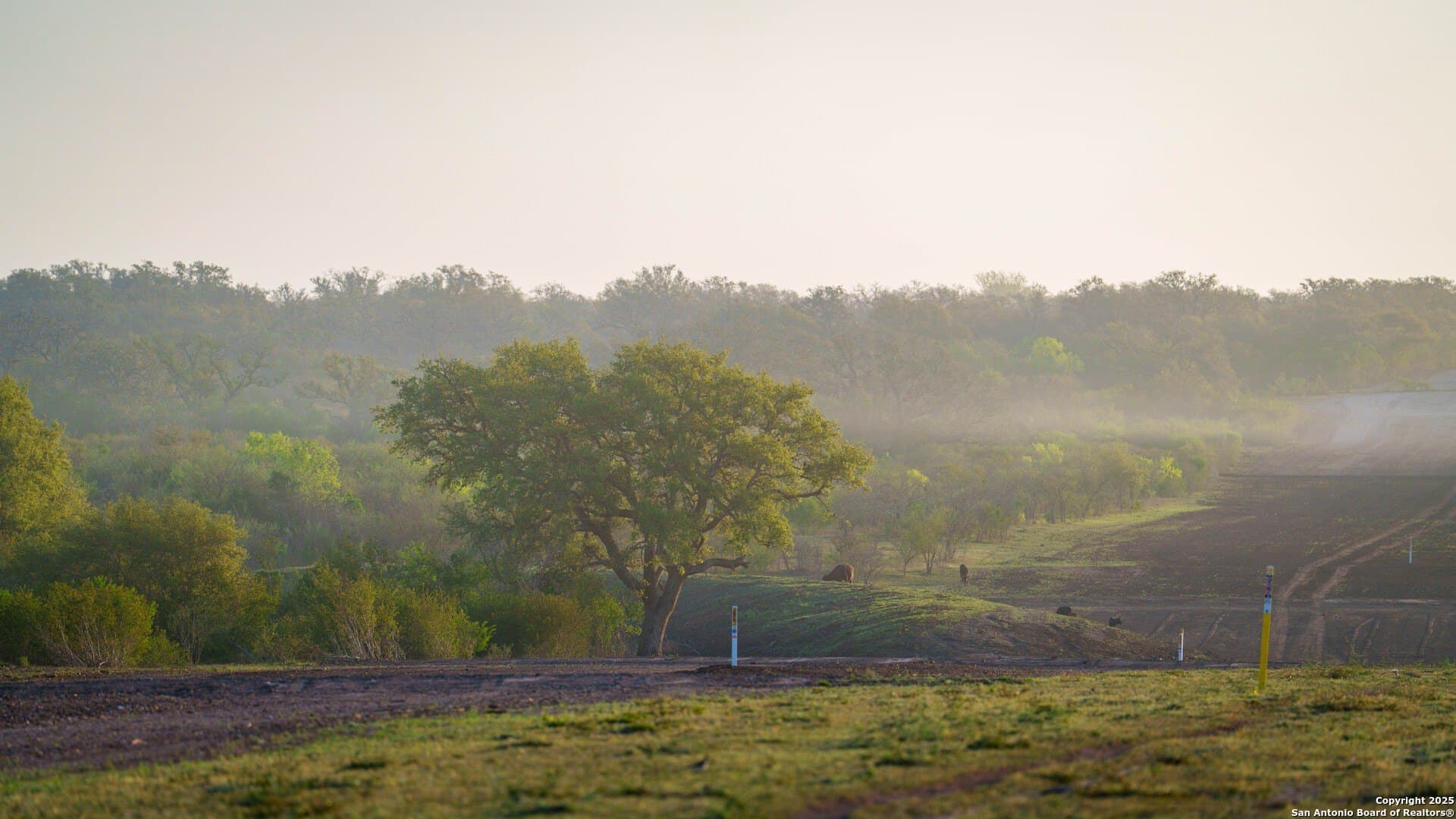 0 acres in Goliad County - photo 18