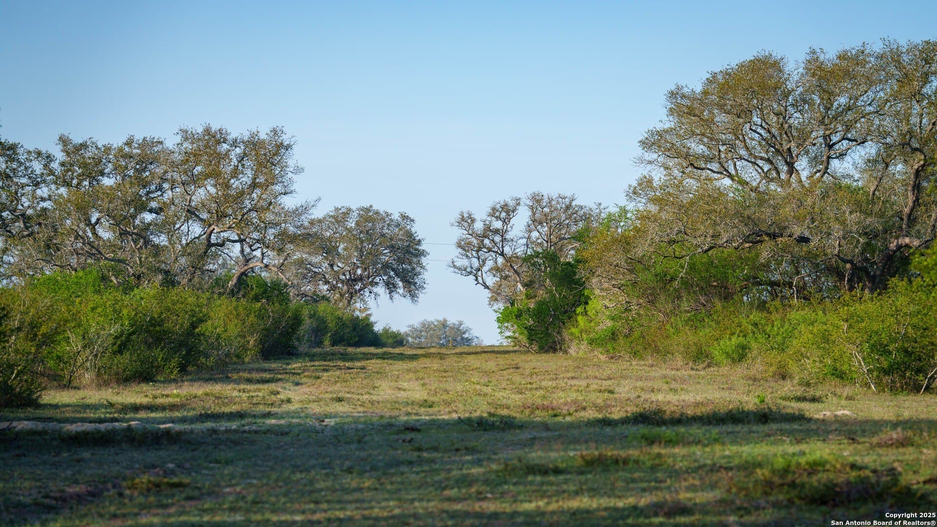 0 acres in Goliad County - photo 48