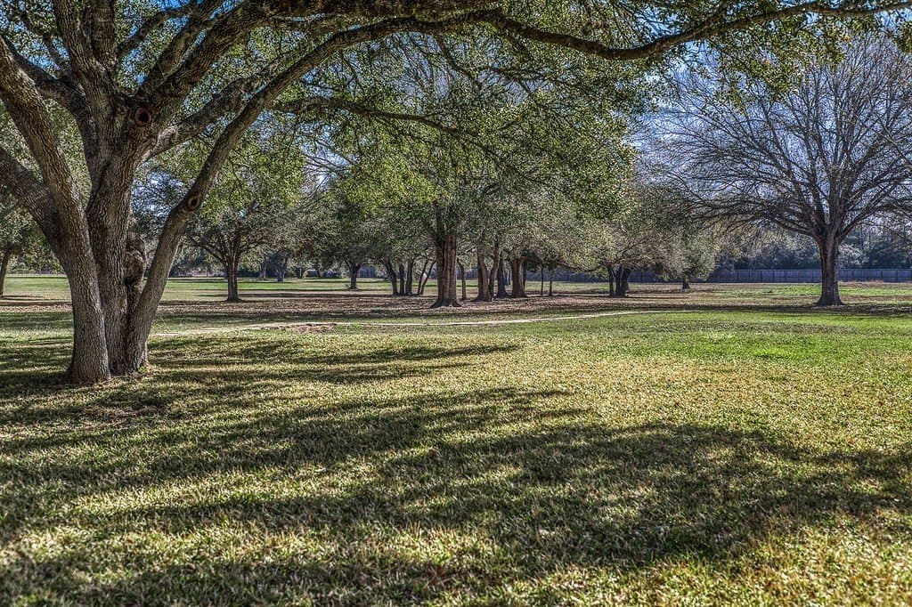 19.27 acres in Fayette County - photo 22