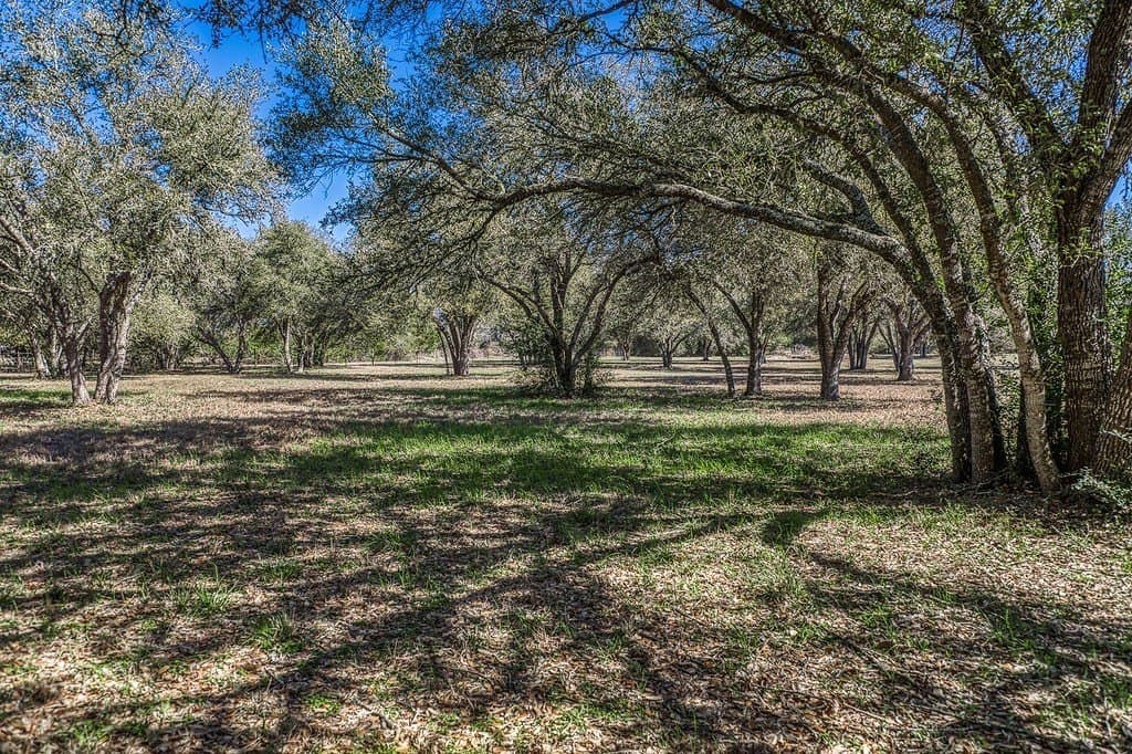 19.27 acres in Fayette County - photo 27