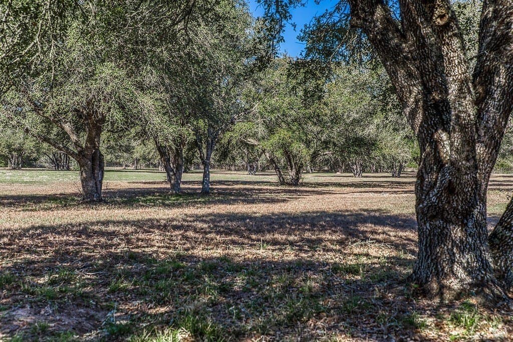 19.27 acres in Fayette County - photo 28