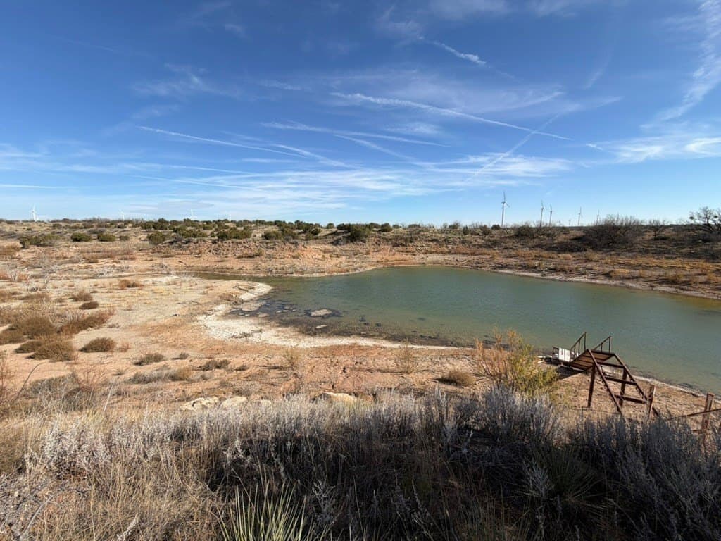 315 acres in Fisher County - photo 9