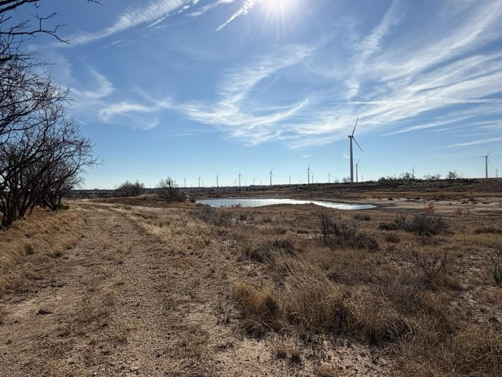 315 acres in Fisher County - photo 2