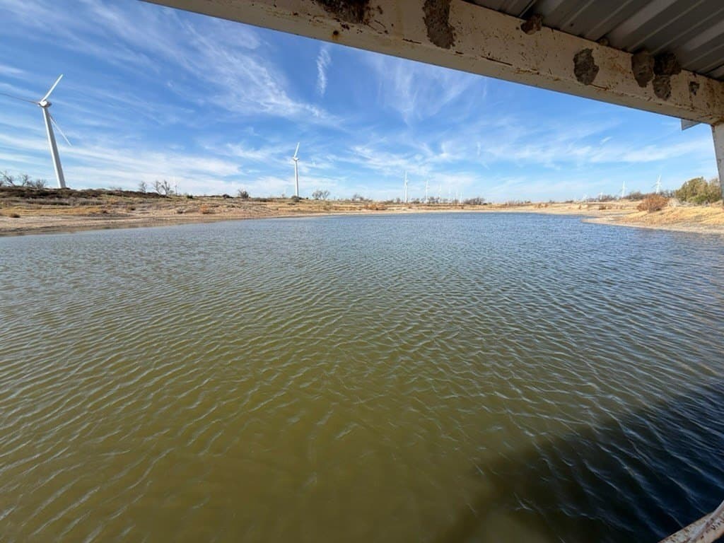 315 acres in Fisher County - photo 6