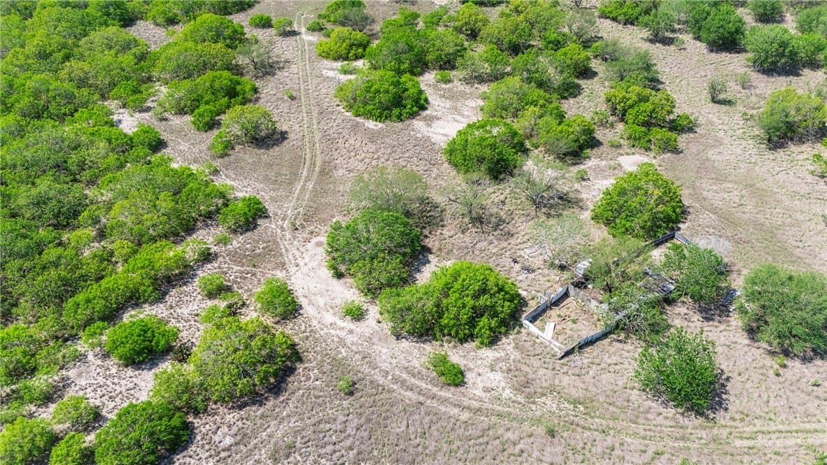 43.01 acres in Nueces County - photo 7