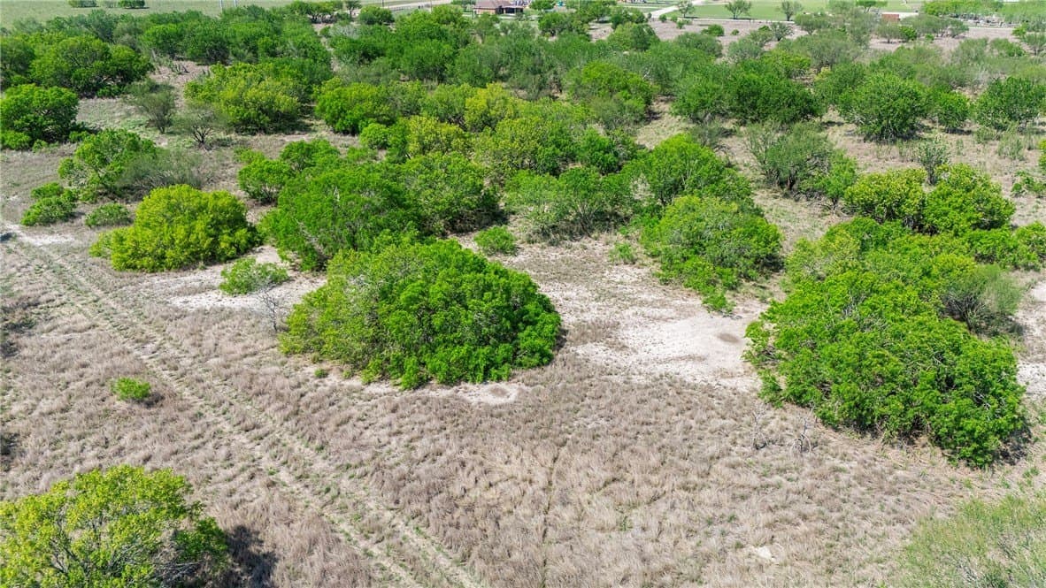 43.01 acres in Nueces County - photo 13