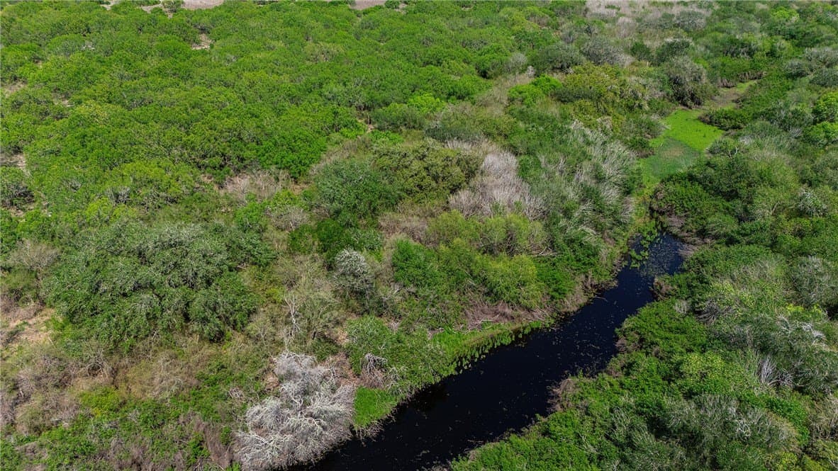 43.01 acres in Nueces County - photo 11