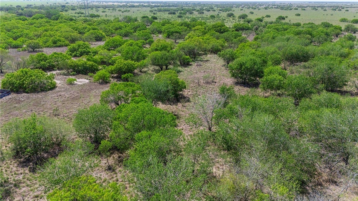 43.01 acres in Nueces County - photo 9