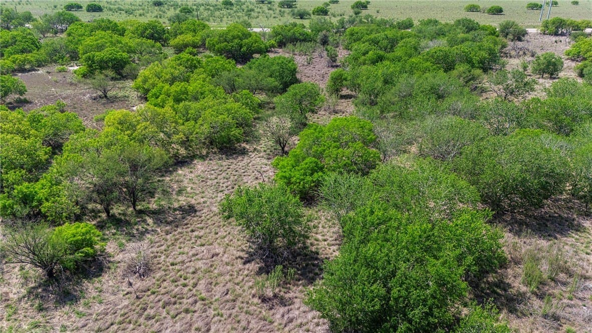 43.01 acres in Nueces County - photo 10