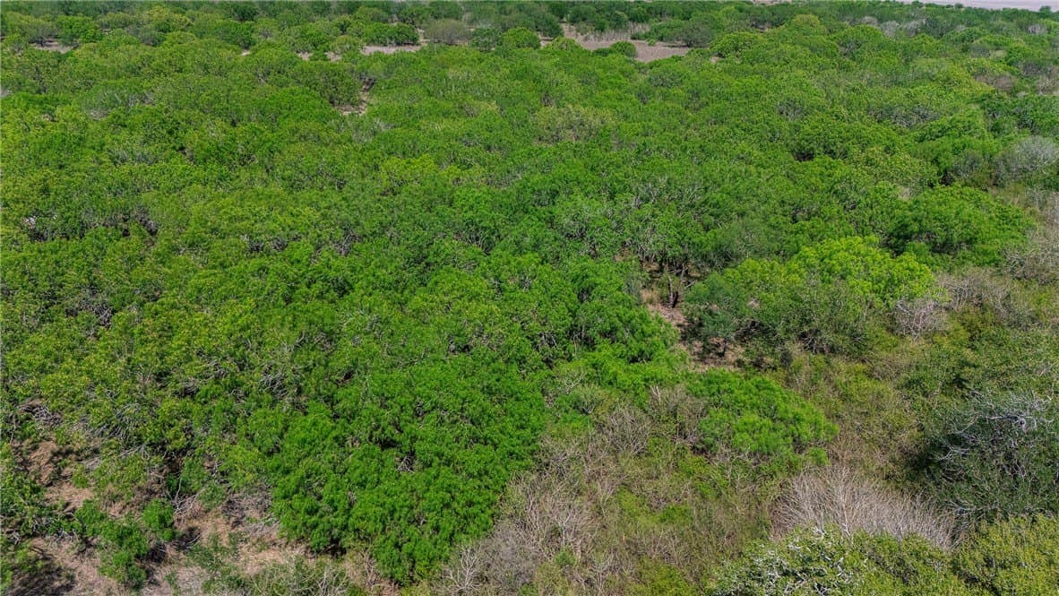 43.01 acres in Nueces County - photo 12