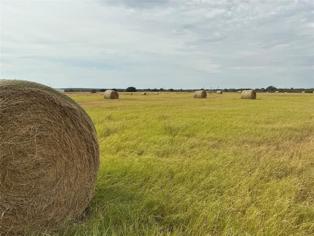 61.64 acres in San Saba County - photo 2