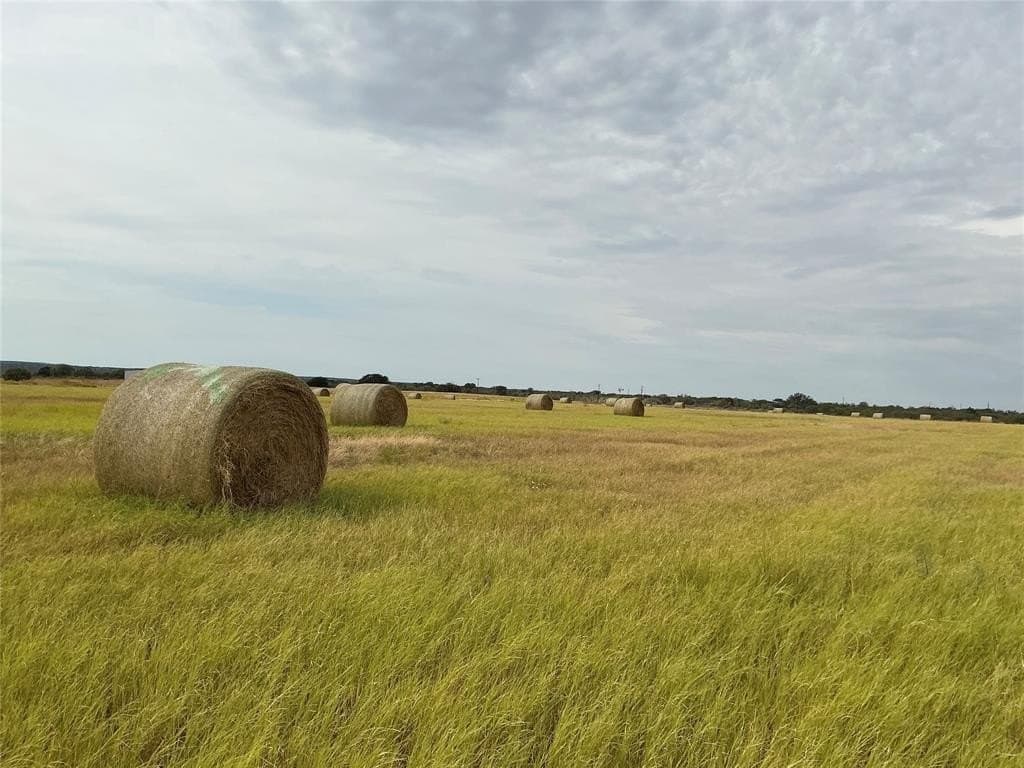 61.64 acres in San Saba County - photo 6
