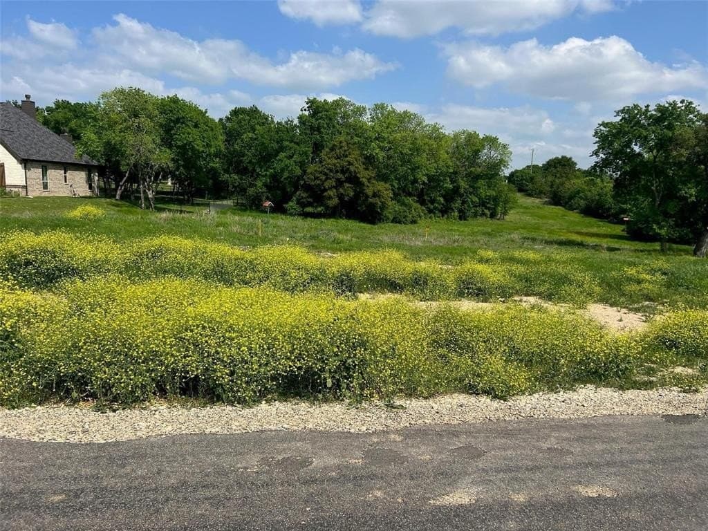 2.49 acres in Parker County - photo 3