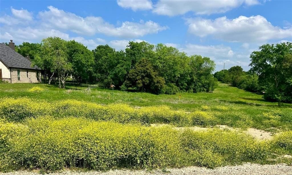 2.49 acres in Parker County - photo 4