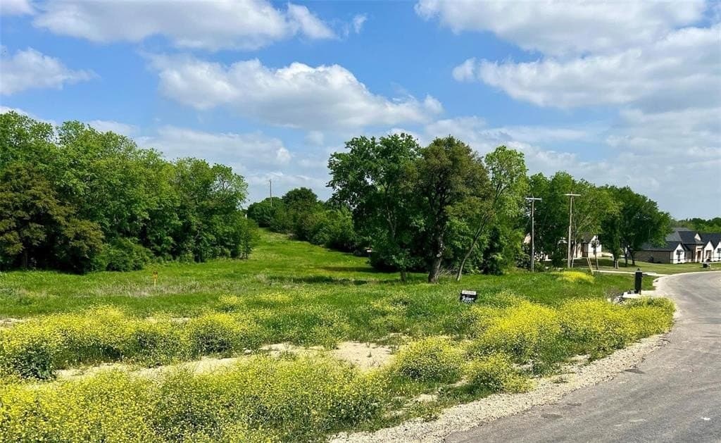 2.49 acres in Parker County - photo 2