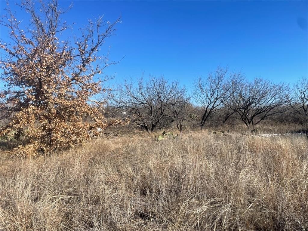 0.52 acres in Stephens County - photo 4