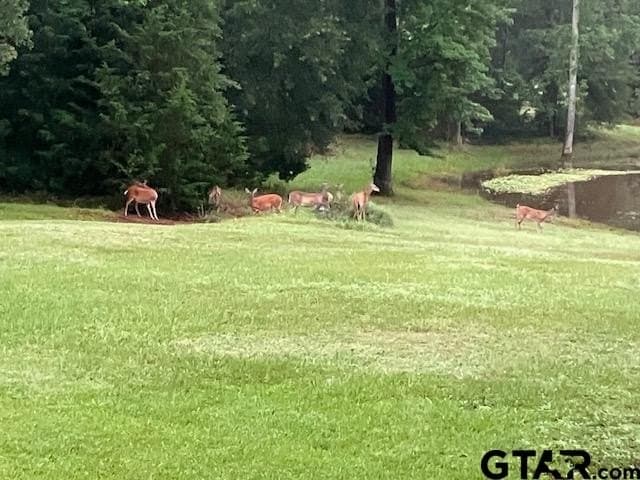 15.02 acres in Smith County - photo 47