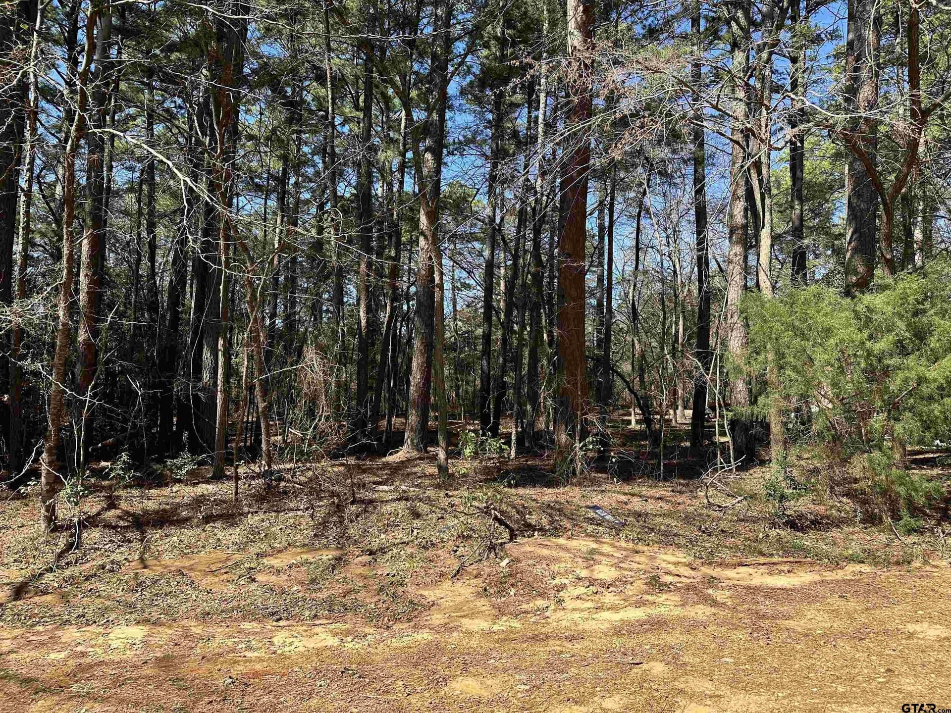 0.17 acres in Cherokee County - photo 3