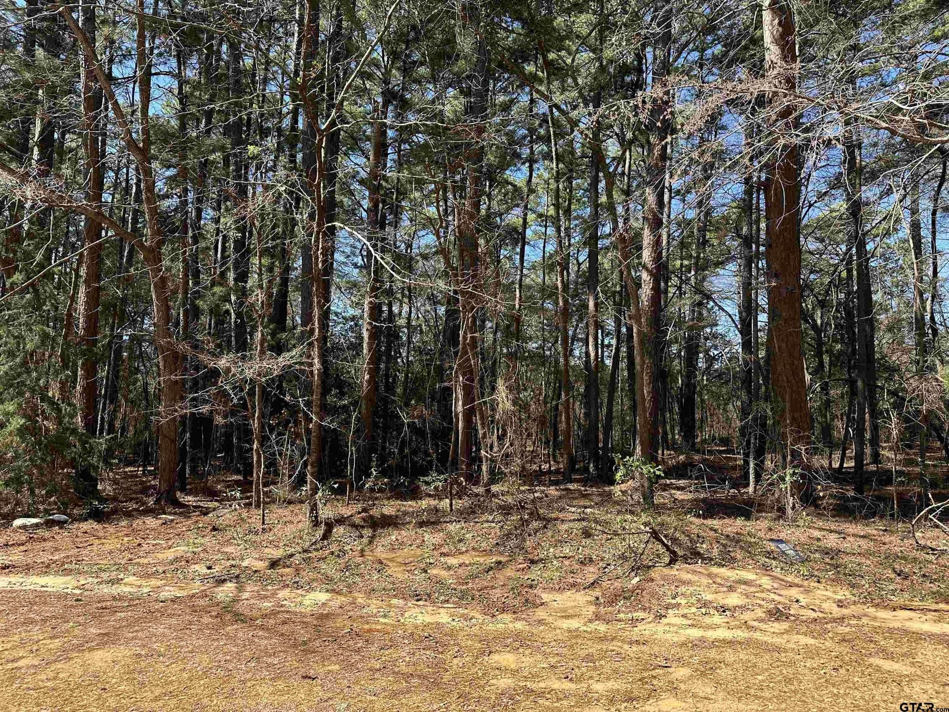 0.17 acres in Cherokee County - photo 2