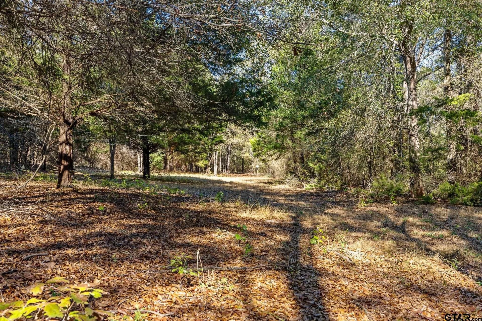68.36 acres in Smith County - photo 7