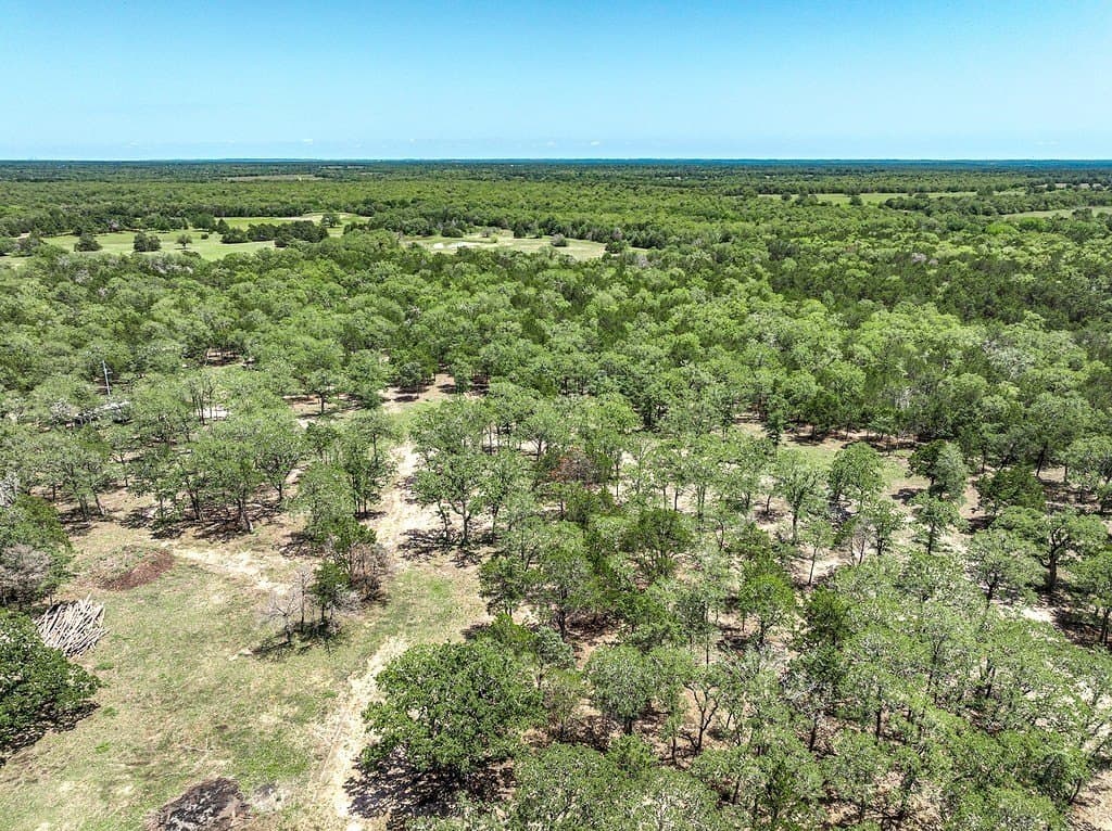 25.17 acres in Fayette County - photo 4