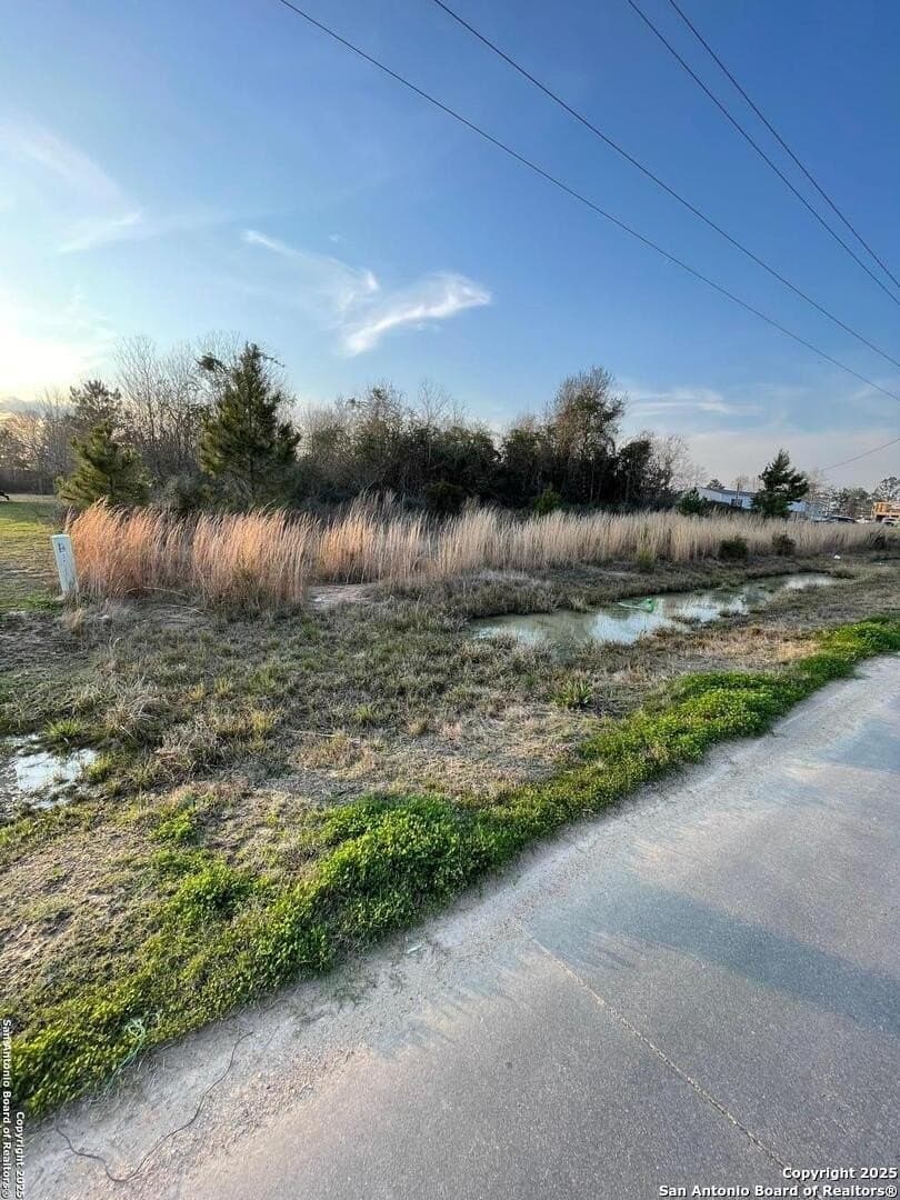 0.46 acres in Liberty County - photo 2