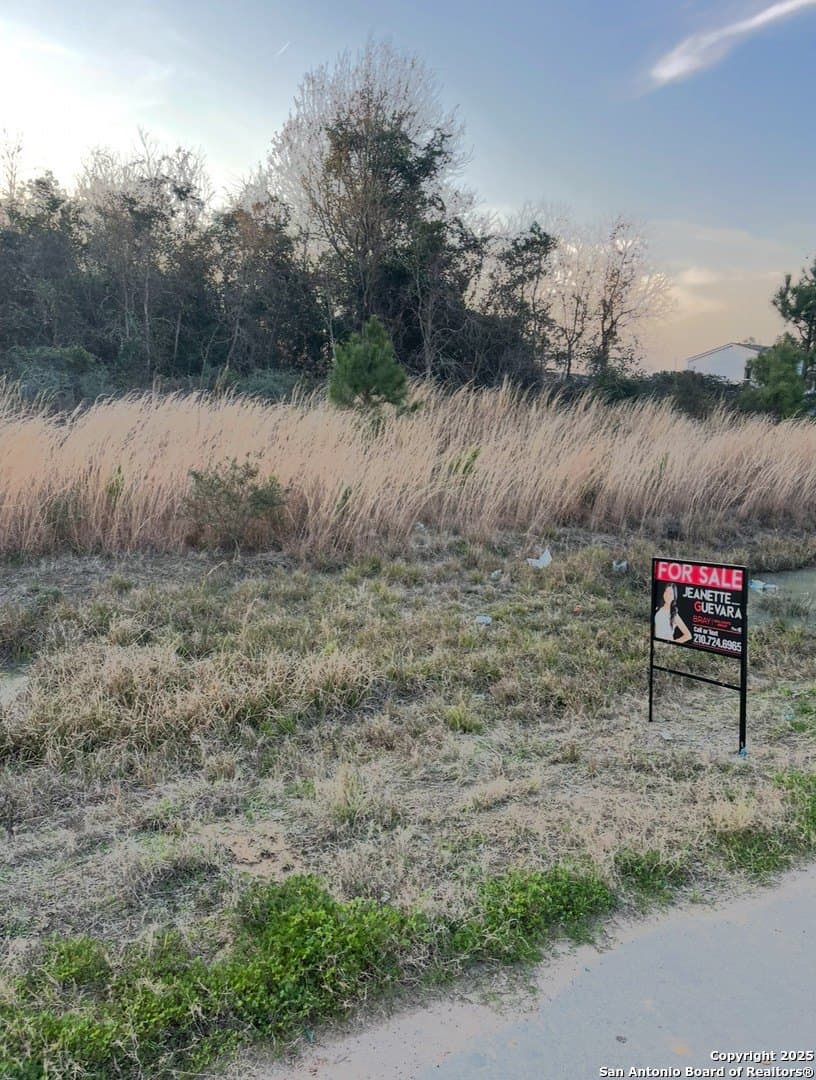 0.46 acres in Liberty County - photo 4
