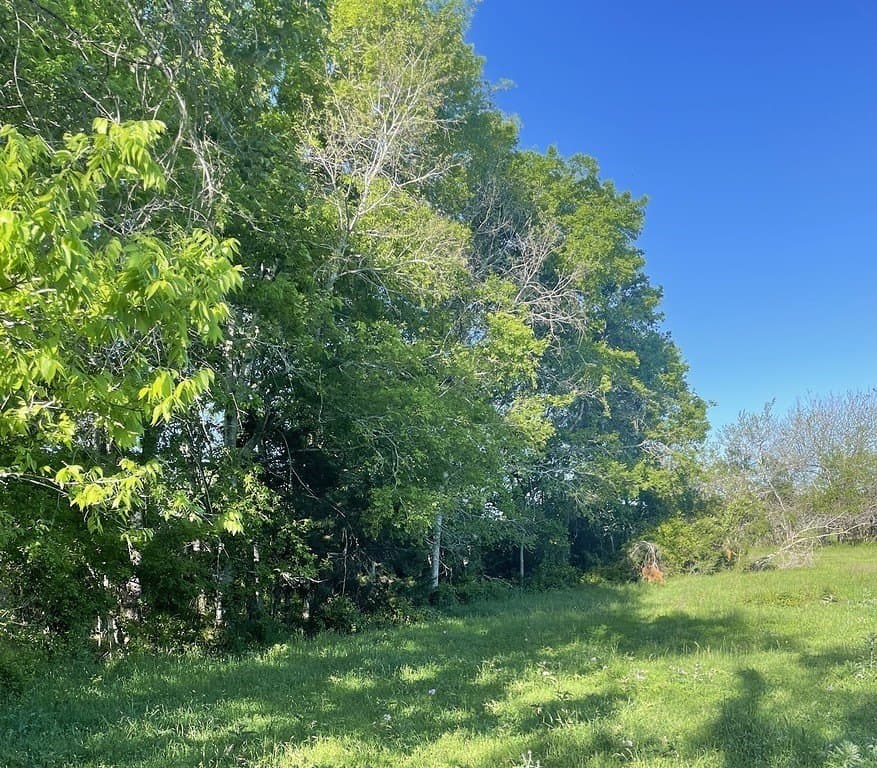 7.5 acres in Fayette County - photo 2