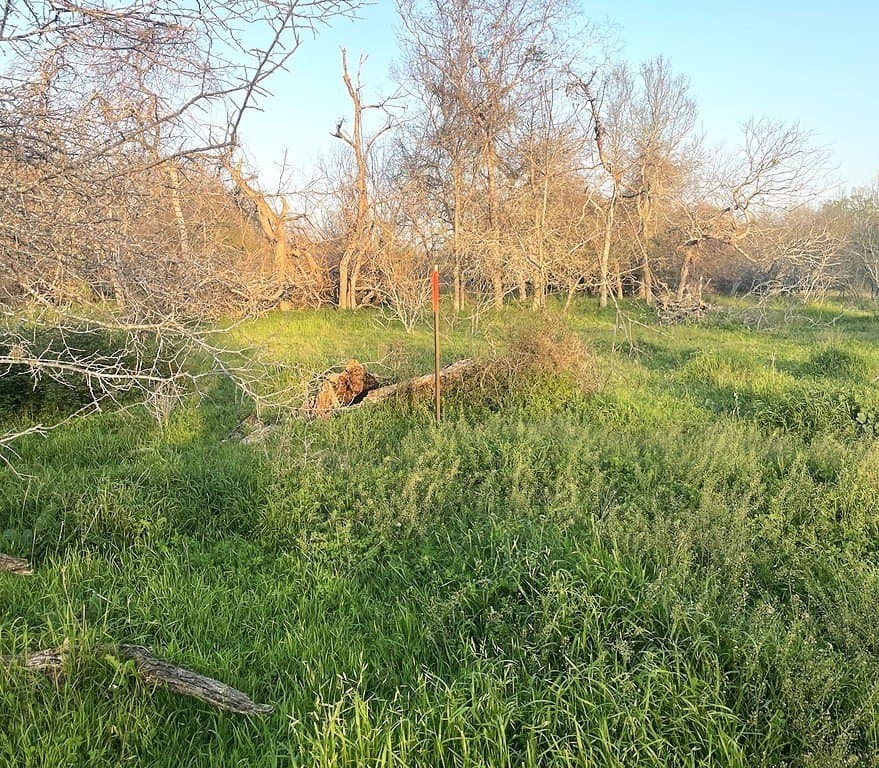 7.5 acres in Fayette County - photo 11