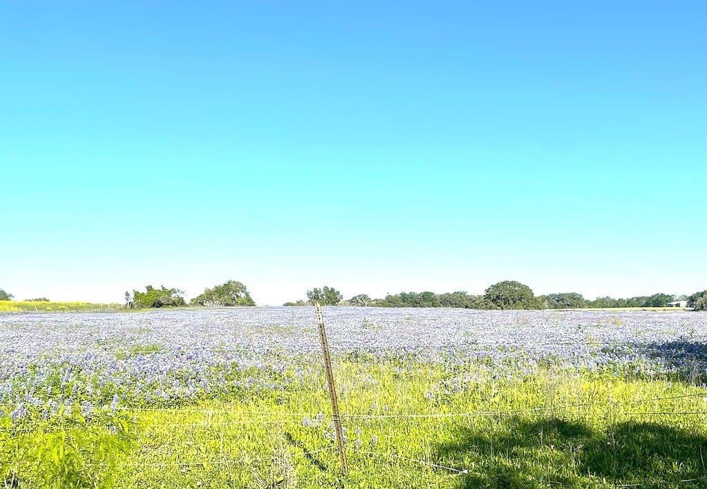 7.5 acres in Fayette County - photo 3