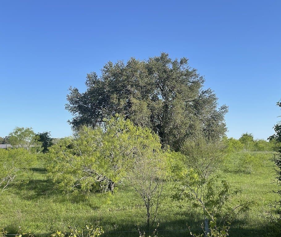 7.5 acres in Fayette County - photo 5