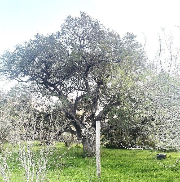 7.5 acres in Fayette County - photo 8
