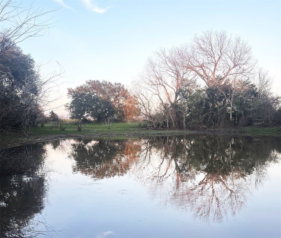 7.5 acres in Fayette County - photo 7