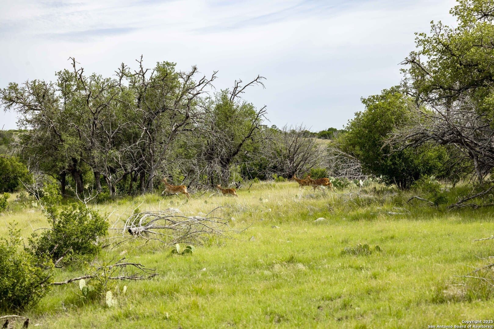 25.66 acres in Edwards County - photo 10