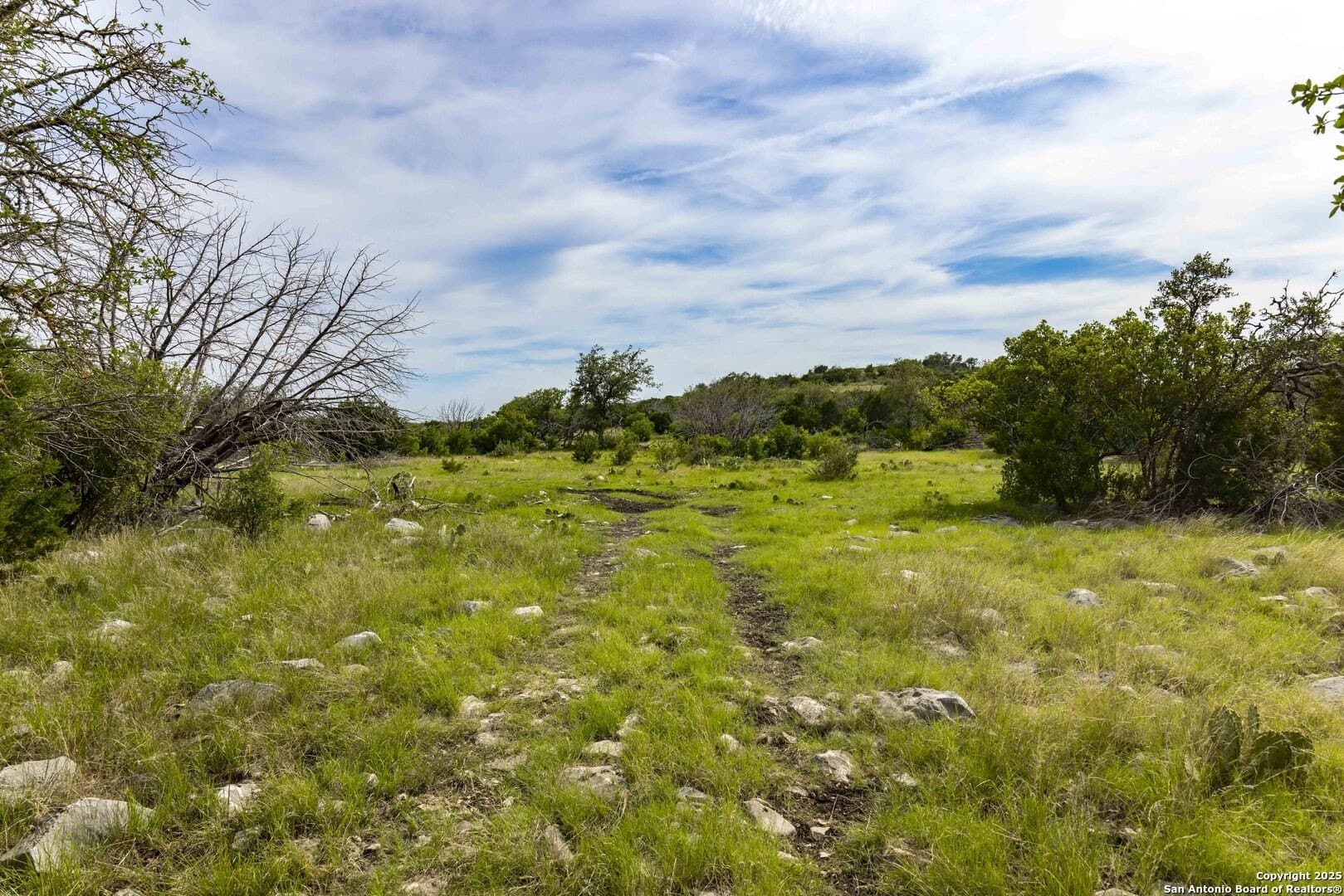 25.66 acres in Edwards County - photo 16