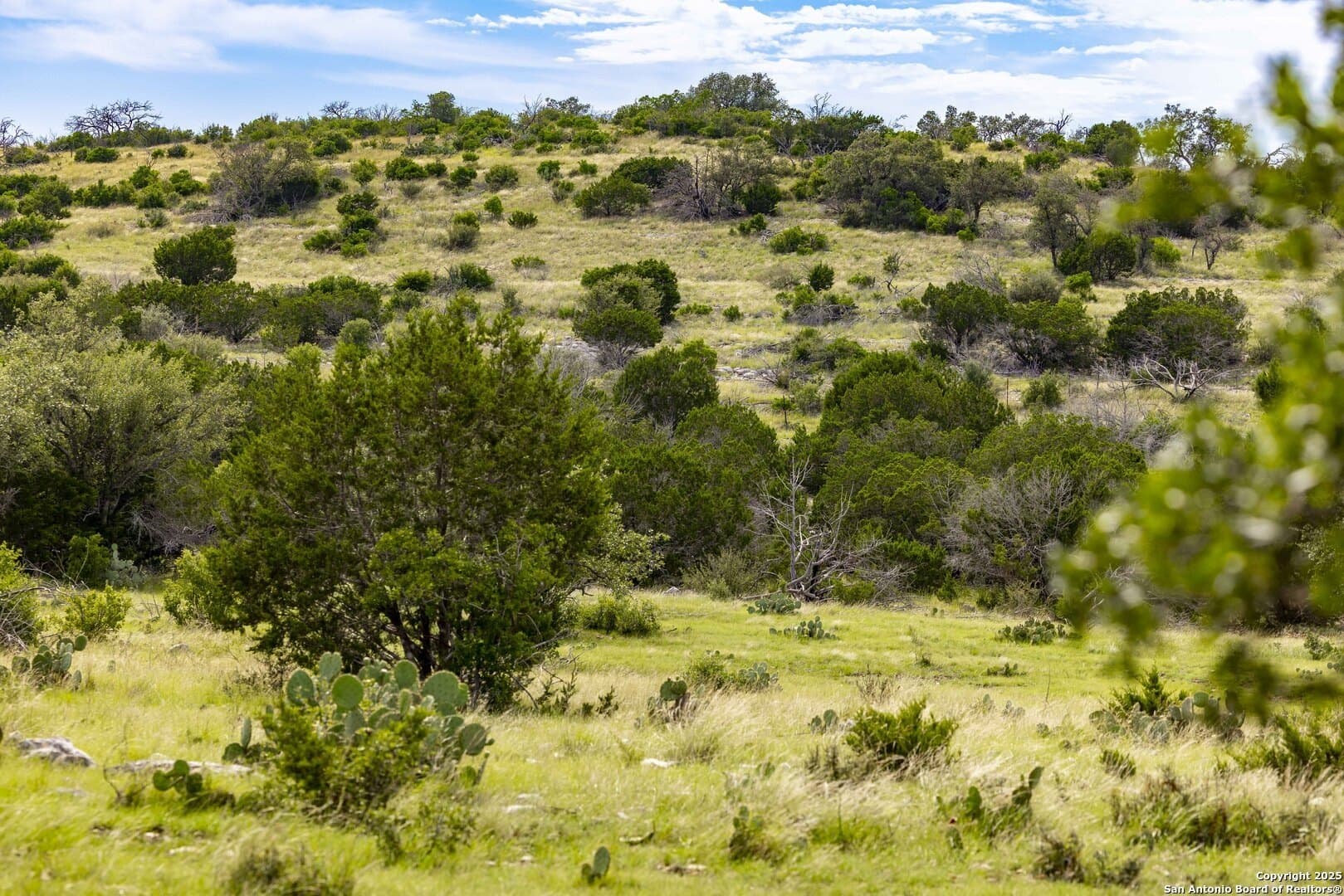 25.66 acres in Edwards County - photo 5
