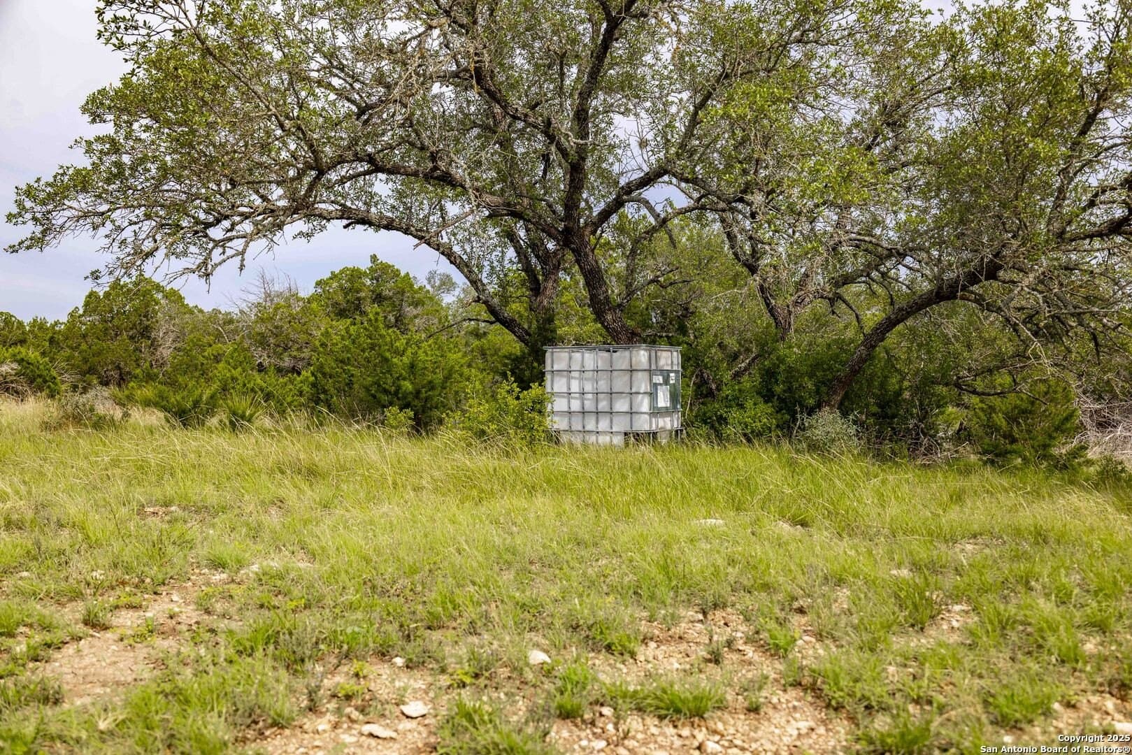 25.66 acres in Edwards County - photo 2